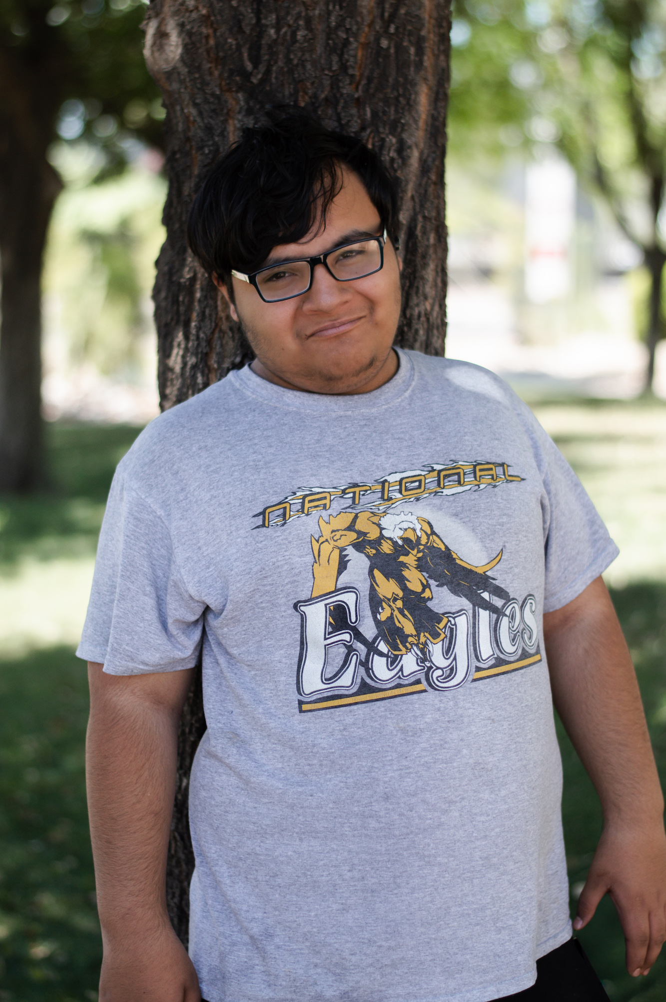 Foster Child Profile